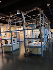 -北京科学中心儿童乐园