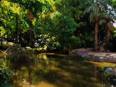 -苏州河梦清园环保主题公园