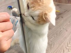 -宠物世家(仲盛世界商城店)