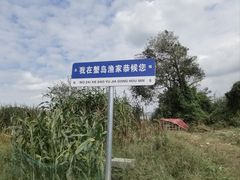 -莲花岛景区