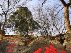-冶父山国家森林公园