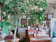-懒鱼时光馆(沙坪坝店)