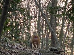 -黔灵山公园
