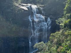 -海南热带雨林国家公园吊罗山景区