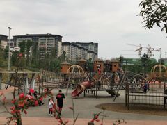 -枫香湖儿童公园