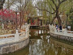 -桃花堤公园