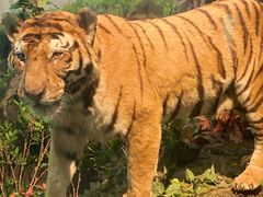 -陕西自然博物馆