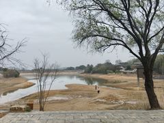-宜兴龙背山森林公园