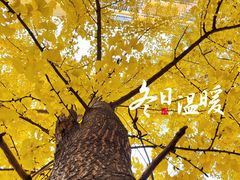 -极客修手机维修·电脑维修·家电维修清洗(五一广场店)