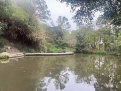 -燕晗山郊野公园