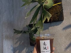 -邊渡咖啡