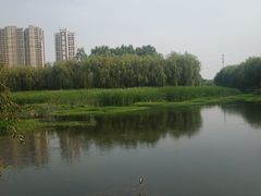 -东坝千亩湖公园