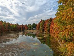-上海海湾国家森林公园