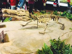 -自贡恐龙博物馆