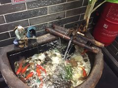 -海王老记