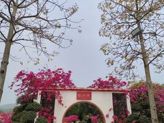 -盈香心动乐园