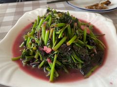 -领鲜土菜馆