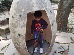 -杭州少年儿童公园