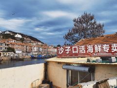 -青岛沙子口国家中心渔港