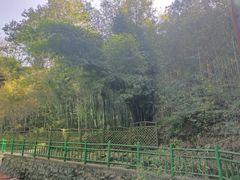 -潜山国家森林公园