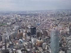 -东京都厅舍