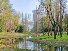 -上海滨江森林公园