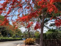 -海南鉴湖蓝湾高尔夫球会