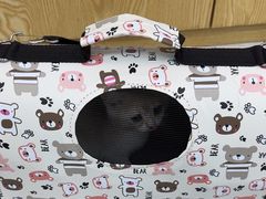-中农大我爱我爱动物医院·核磁CT·猫病·24小时夜诊中心(石佛营店)