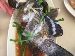 -春园海鲜广场D区6号(钟姐海鲜加工店)