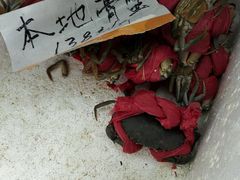 -莲花公园煎蟹(总店)