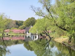 -上海共青森林公园