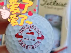-棕榈滩海景高尔夫俱乐部