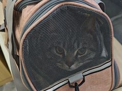 -芭比堂动物医院·CT·微创中心(新顺分院)