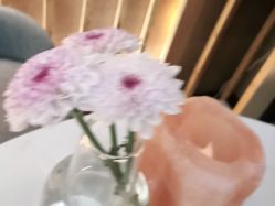 -栖SPA·ONDA ·海菲秀·皑皑科技美肤中心