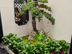 大堂-小菜园新徽菜(南京秦淮龙蟠汇店)
