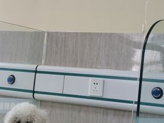 -爱派特动物医院·全科诊疗中心