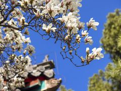 -红螺寺