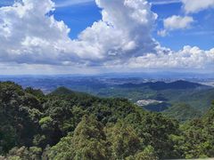-梧桐山风景名胜区