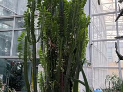 -郑州植物园