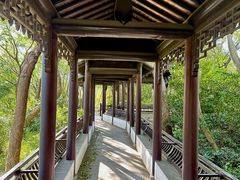 -上海佘山国家森林公园天马山园