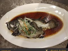 -国惠大酒楼(宝龙店)
