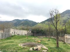 -西安秦岭野生动物园