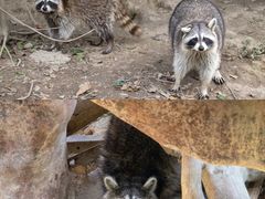 -宁波野生动物园