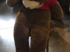 -咖法森林·咖啡  酒吧(天河店)