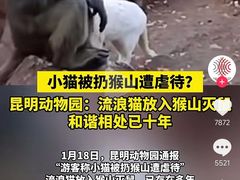 -昆明动物园