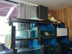 -品鲜村农家菜·阳澄湖大闸蟹(总店)