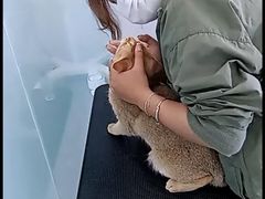 -爱洗澡的猫(望京店)