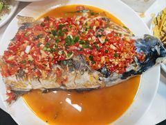-全乐鱼馆·淳牌有机鱼直营店