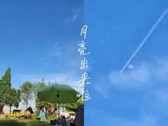 -上海美帆帆船露营基地