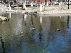 -水磨沟公园